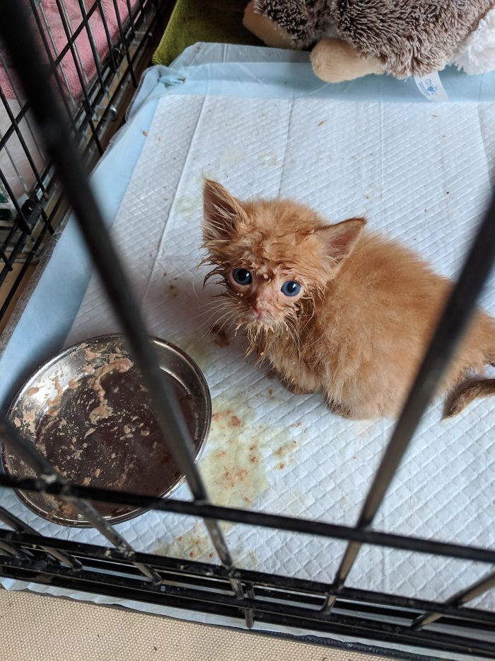 So What If I Eat With My Whole Face