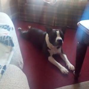 martingreg1972 avatar