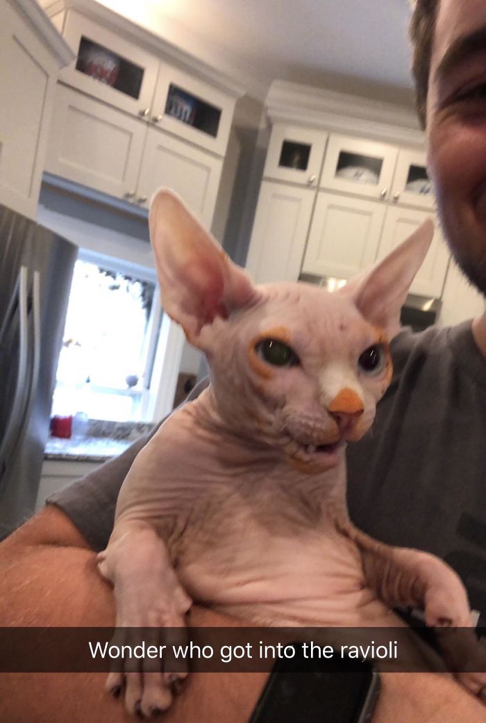 Who Ate The Ravioli?