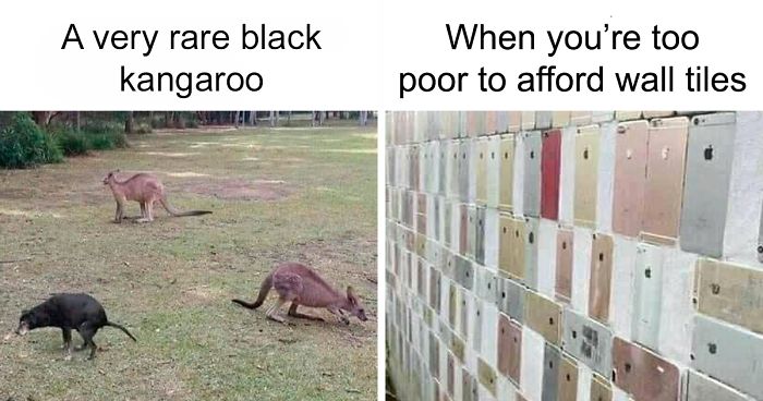 40 Times People Missed The Joke So Bad, They Embarrassed Themselves On The Internet (New Pics)