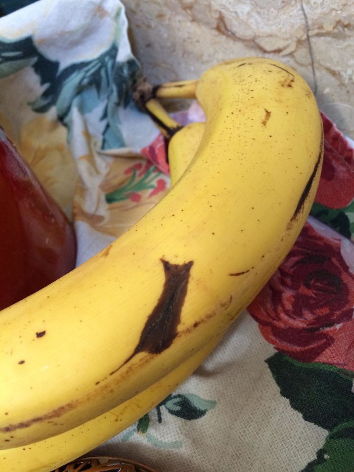 My Banana Has A Bruise That Is A Silhouette Of A Cat.