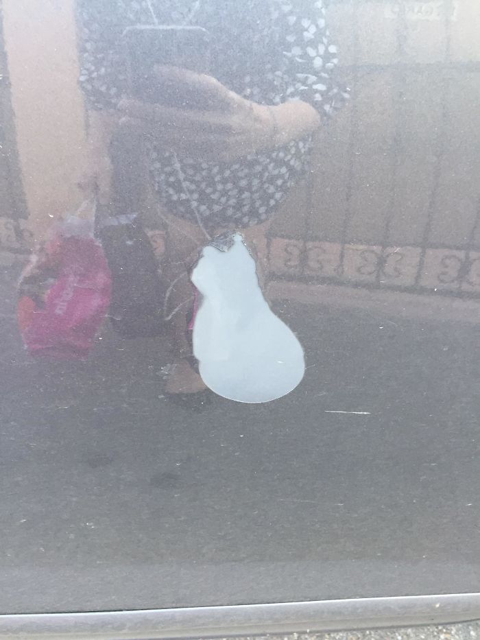 This Car's Paint Chip Looks Like A Cat.