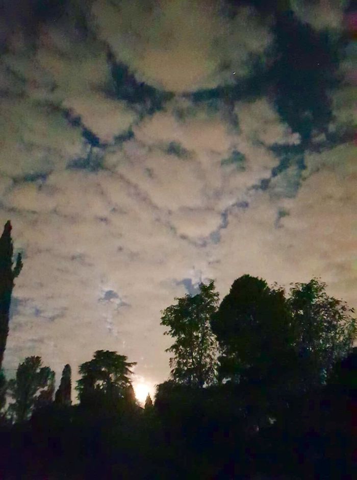 A Face In The Clouds, Looks Like A Cat To Me.