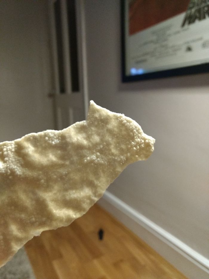 Poppadom Cat Silhouette