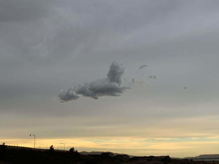 This Cloud Looks Like A Cat.