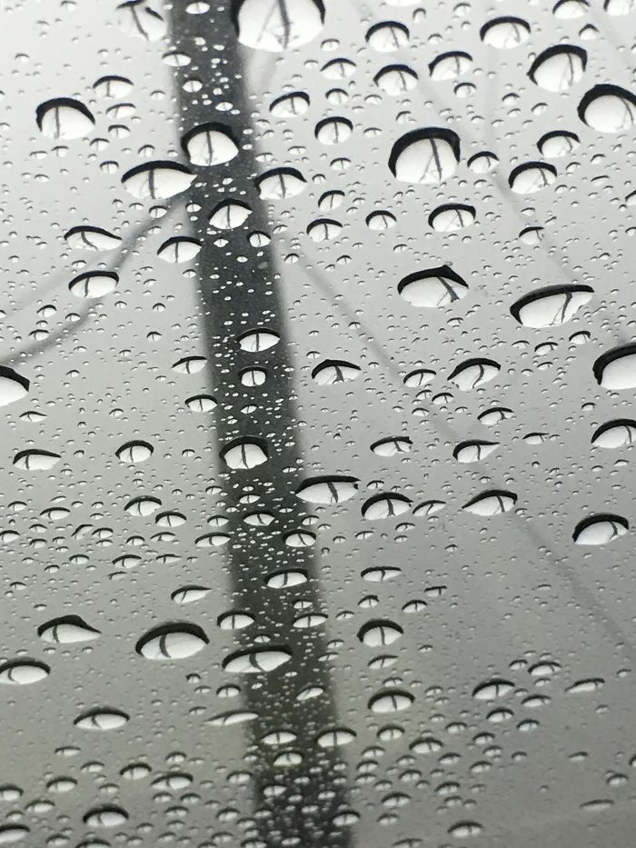 Water Droplets On My Window Look Like Cat Eyes.