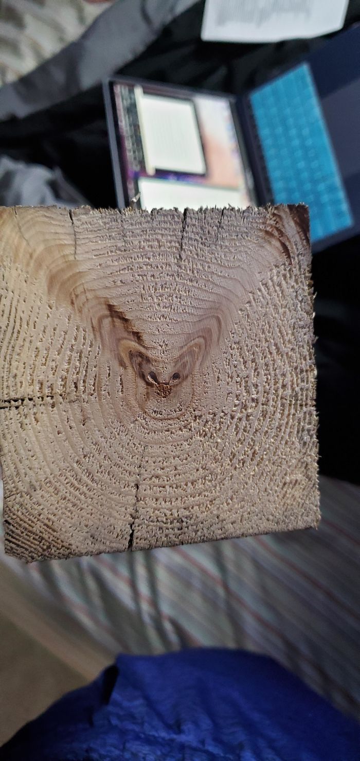 The Middle Of This 4x4 Looks Kinda Like A Cat