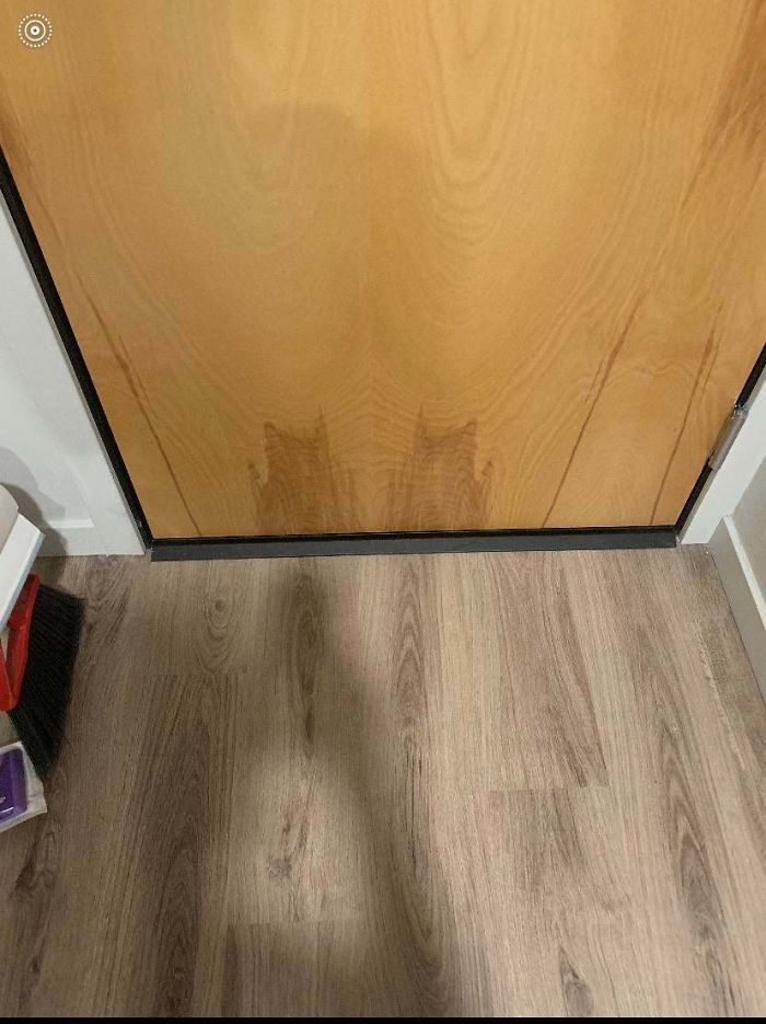 The Discoloring On My Door Look Like Shadows Of Two Cats.