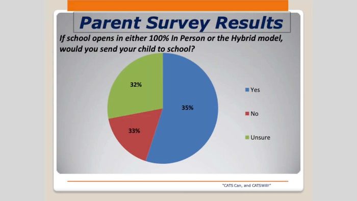 This Pie Chart My School Showed On Their Reopening Presentation.