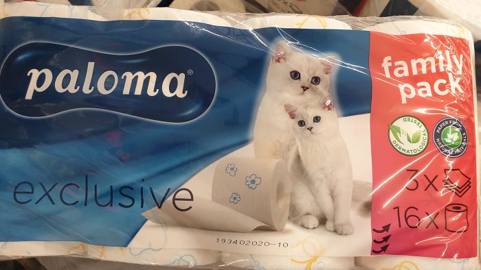 The "Kitten" Is The Same Picture But Scaled Down And Mirrored