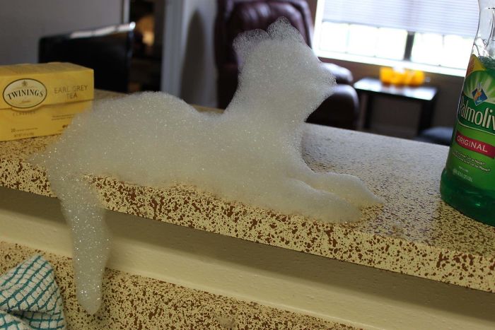 My Roommate Made A Cat Out Of Foam