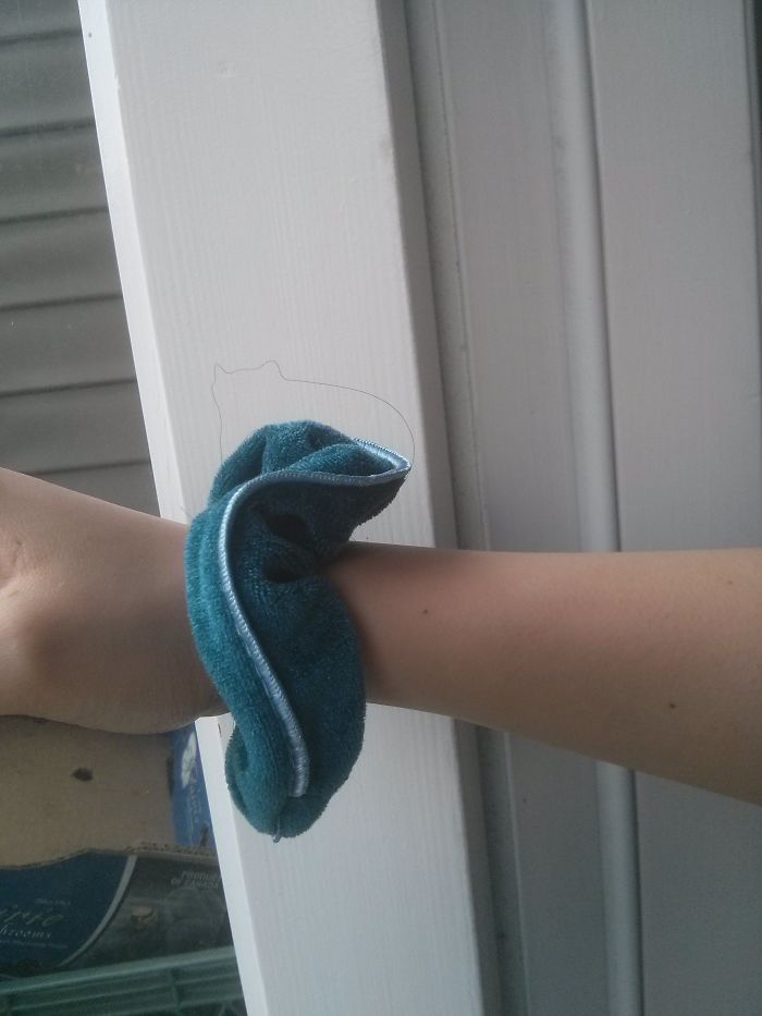 The Hair On My Scrunchie Looks Like A Fat Cat