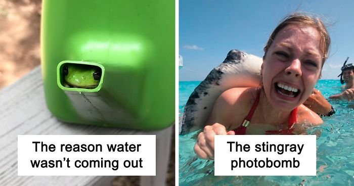 50 Funny Animal Posts That Will Leave You With The Biggest Smile
