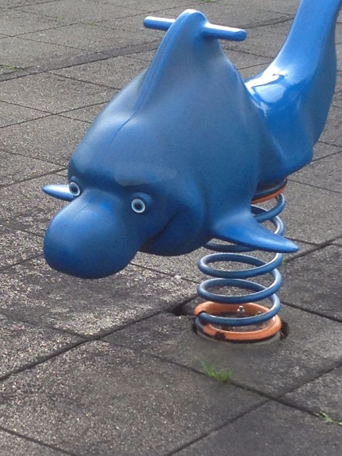 This "Dolphin" Is Still Haunting Me