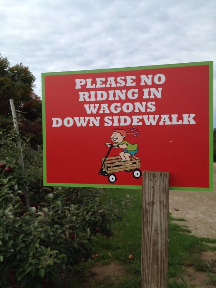 Why'd They Make It Look So Fun Then??