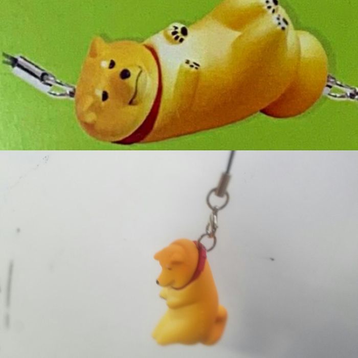 Supposed To Be Lazy Shiba Inu Being Pulled On A Leash But The Execution Is Unexpectedly Morbid...