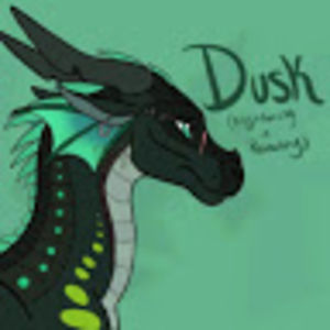 fionageraghty avatar