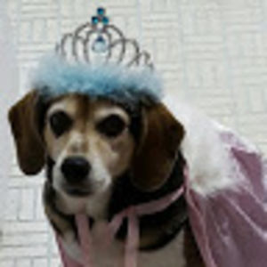 lindsaymacgregor avatar