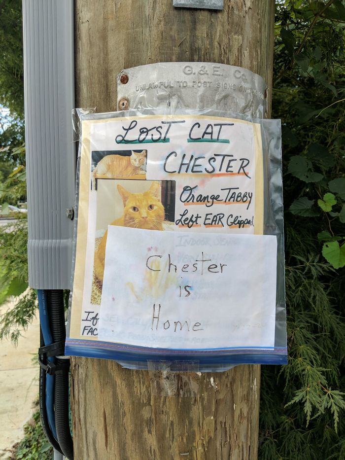 After Seeing These Signs For Months, I Finally Found Some Good News On My Walk Today