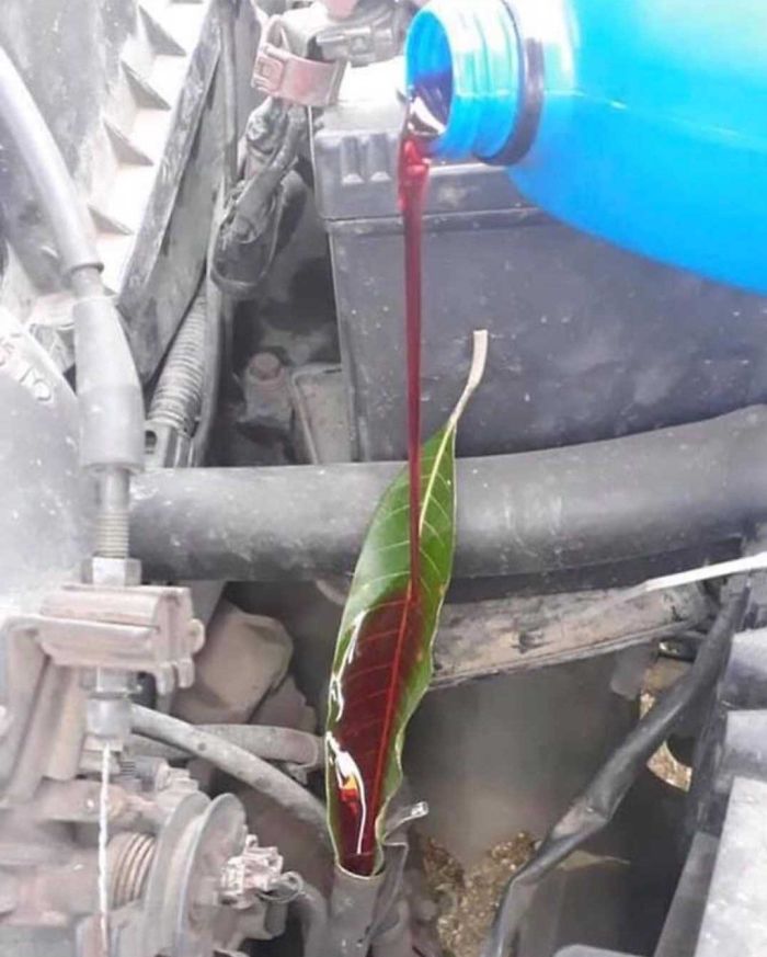 And Little Creativity Goes A Long Way Huh