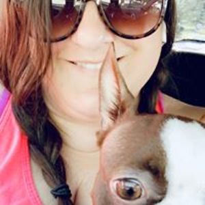 jen_spyhalski avatar