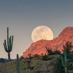 retrowomen1947 avatar