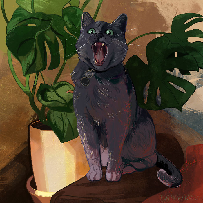 Drawing-Cats-Everyday-Em-Paquin