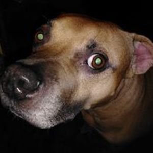 belmontcolleen20 avatar