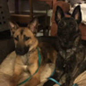 hannahcunningham avatar