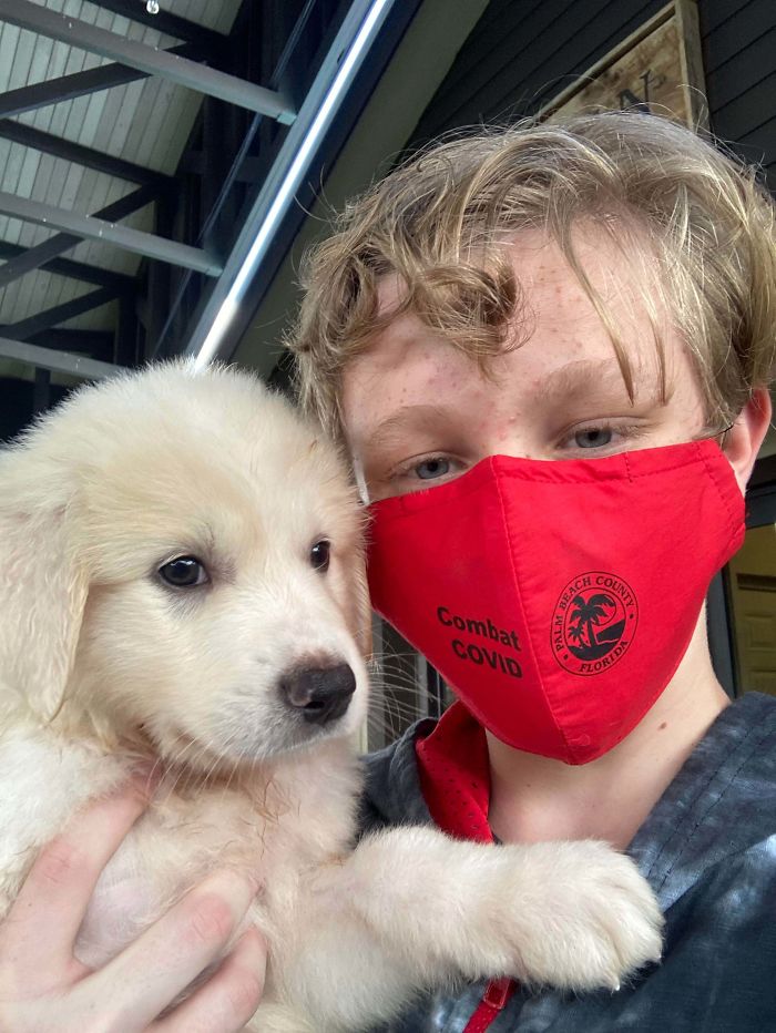 I Was At The Big Dog Rescue And They Were Washing Puppies, My Mom Was Learning How To Train Our Dogs And I Held A Super Smol Gorl