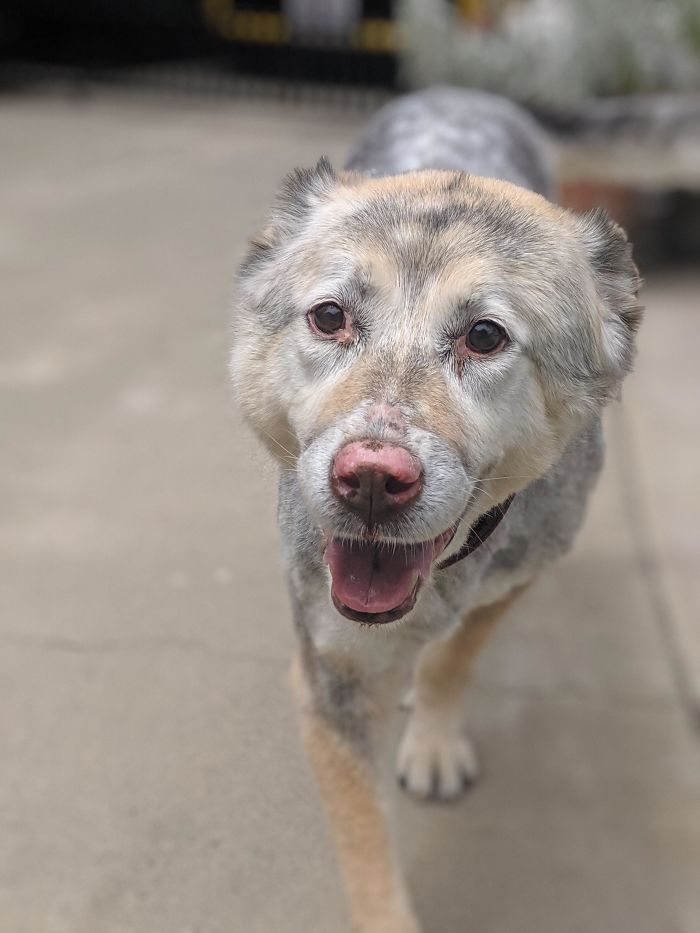 Our 14-Year-Old Girl, Still Smiling
