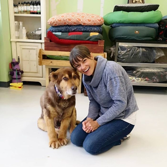 When I Adopted 14-Year-Old Francis Last Year I Was Told We Would Only Have 4-6 Weeks Together Because Of His Arthritis And Poor Mobility. Well, We Celebrated Our One Year Anniversary Today