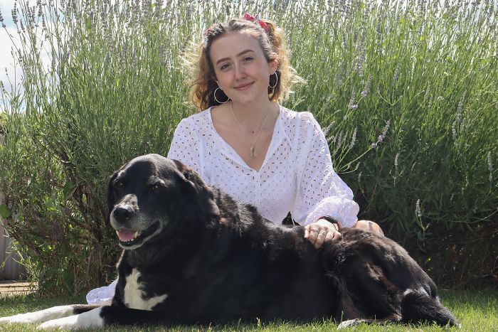 My Old Man Thomas, Age 13, Is Always By My Side No Matter What