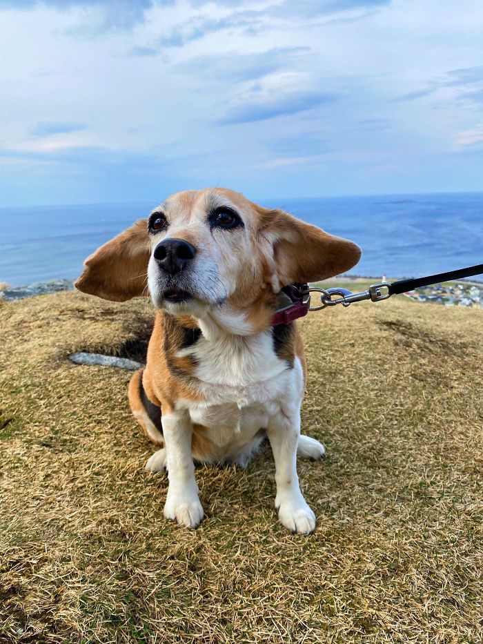 My 12-Year-Old Kira Still Loves Hiking