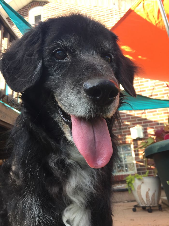 My 14 Year Old Boy’s Face After He Discovered A Nest Of Baby Rabbits (We Put Up Some Fencing To Help Keep Them Safe)