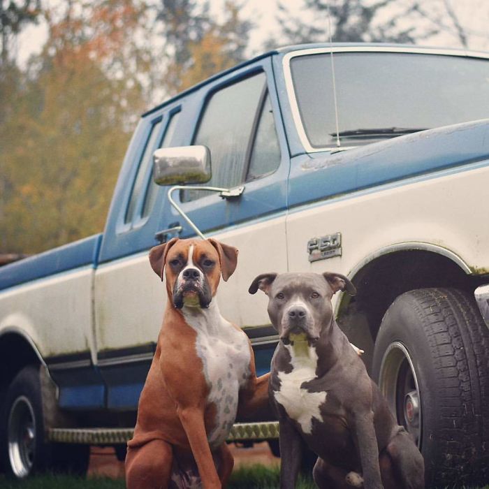 Just A Couple Of Good Old Boys