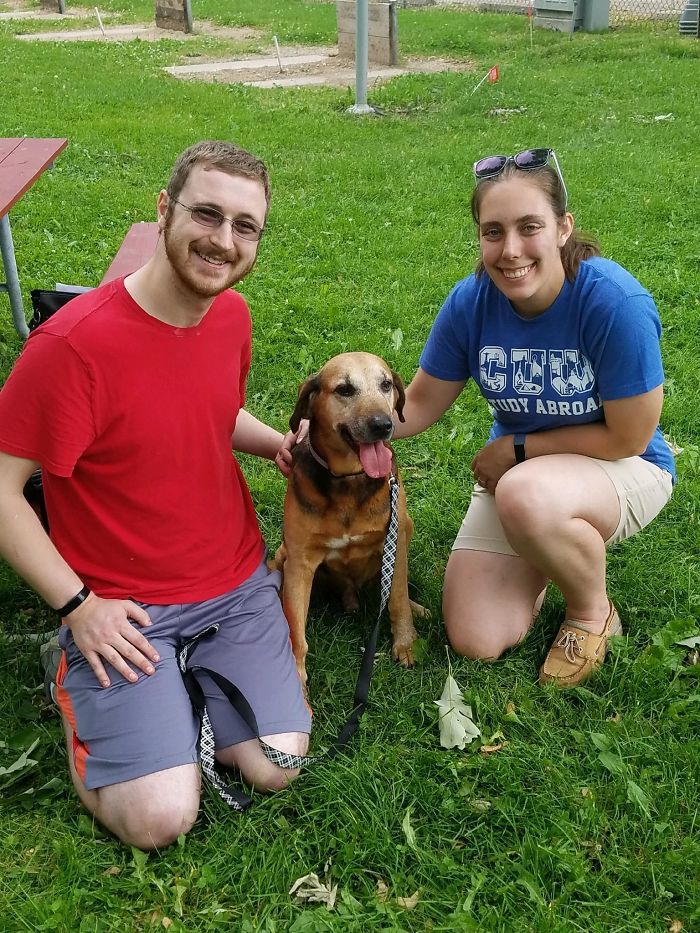 Today My Wife And I Adopted A Senior Puppy! Everybody, Meet Waffles