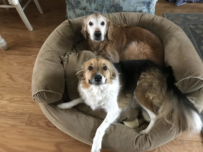 Smile Girl And Old Boy Hecking Excited For A New Day And Hopes You Have A Good One, Too