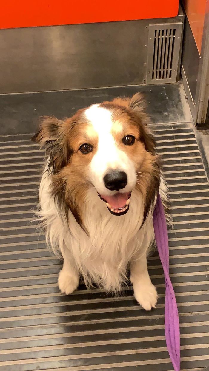 Birthday Boy Out For A City Adventure. Jimmy Is 8 Years Old Now