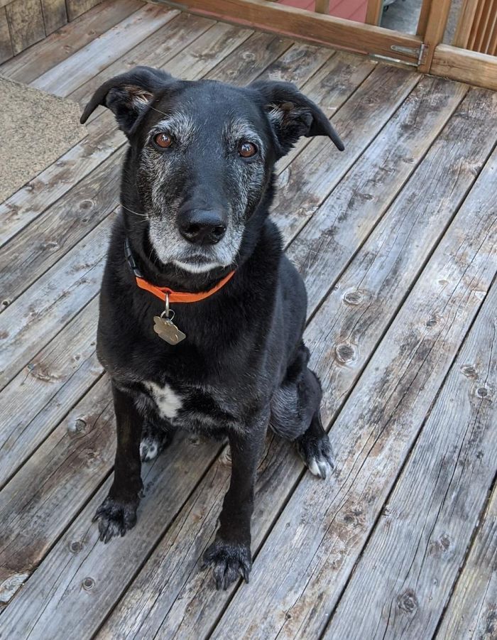 My Parents Are Isolating With My Old Boy While I Am Working An Essential Role. Miss Him So Much