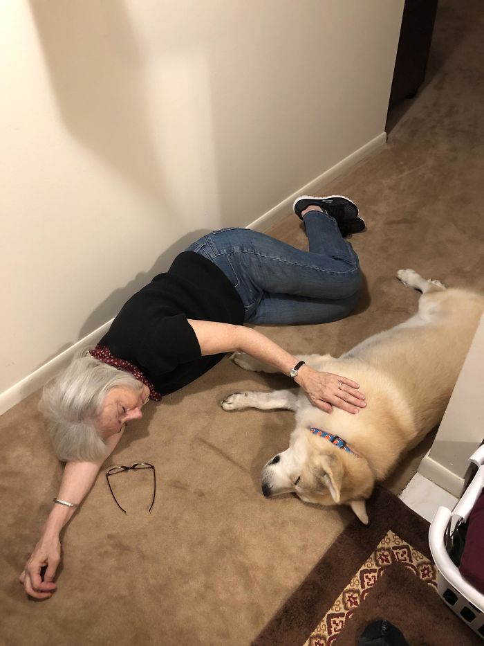 We Adopted A Senior Saint Named Mikey Yesterday And I Think It’s Safe To Say His First Trip To Grandma’s Went Well