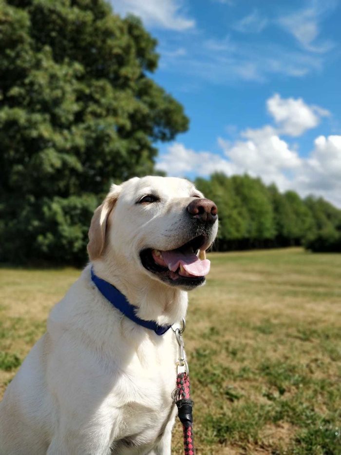 My Boy Is 10 Years Old Today! Say Hello To Robbie