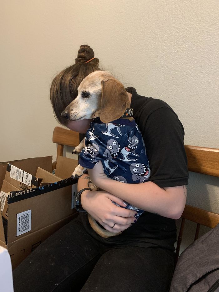 Old Man Ted (15) Got New Jammies And Made My Sister Cry From His Cuteness