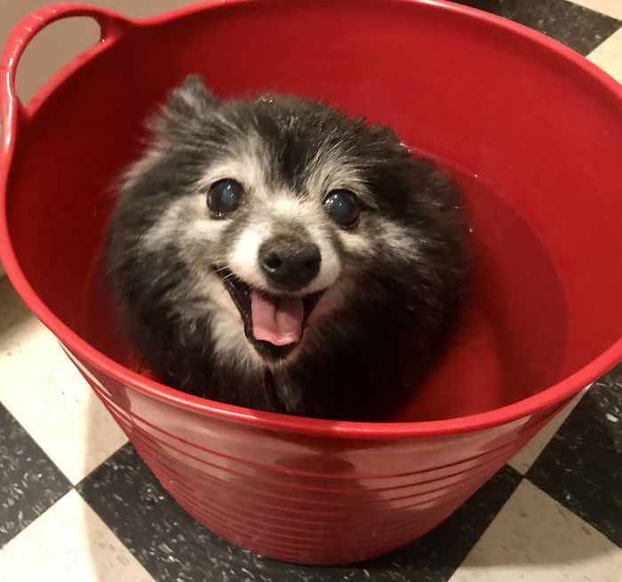 This Is My Sweet Little Old Lady