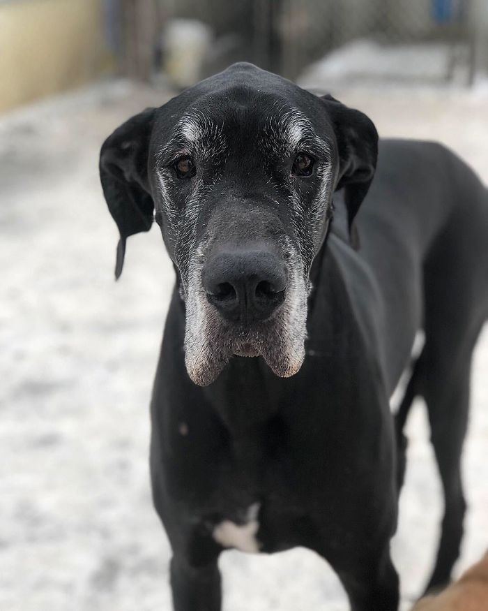 He May Be An Old Man, But He’s My Old Man