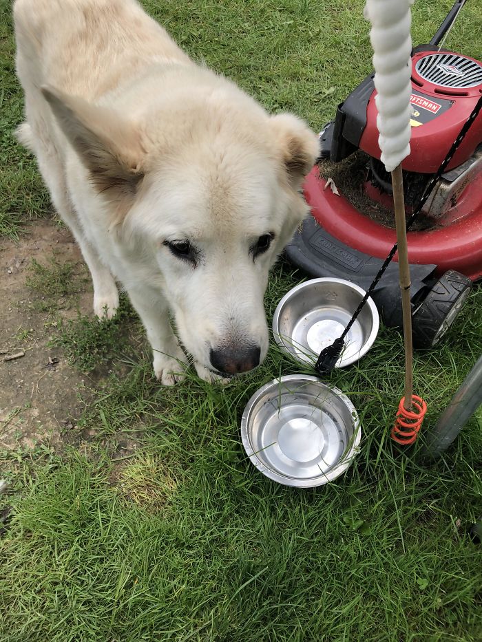 Return Of Old Man Max, Still Thriving At 19