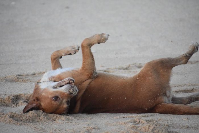 Our Boy Is Turning 18 Years Old Tomorrow