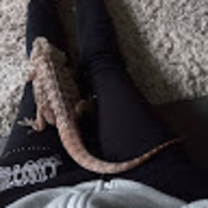 valhallaawaits avatar