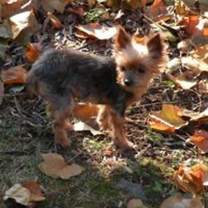 rebecca_odonnell avatar