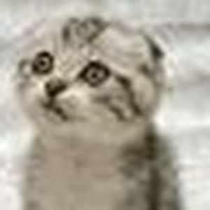 jenniferbennett_1 avatar